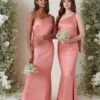 Amelia Tie Maxi Bridesmaid Dress - Matte Apricot Pink