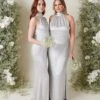 Odelle Maxi Bridesmaid Dress - Matte Silver