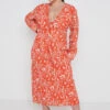 Rosslyn Tied Long Sleeve Midaxi Dress Curve - Orange Zebra